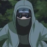 shino aburame (o.d)