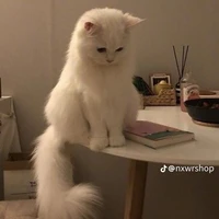 ยูจิ(ร่างเดิม)