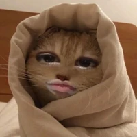 แอดเอง