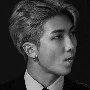 rap monster (rm)