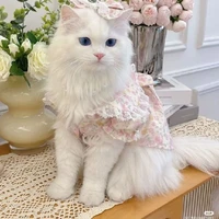 นามิ(นอ.ร่างแมว)