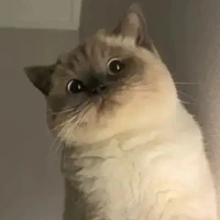 แอดเอง😙
