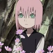 Sakura[2 años]