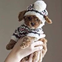 little devil( author)