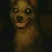 smile dog