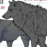 Direwolve