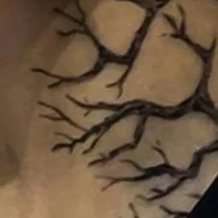 .....