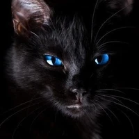 รันต์จิ