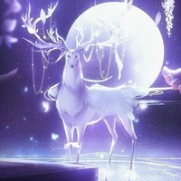 Luz