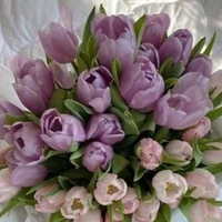 Chic@s