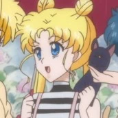usagi shukino