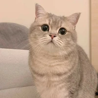 เป็นทุกอย่าง