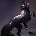 Seek (Sora