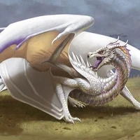 Cole the wyvern 