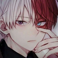Shoto todoroki:OP