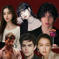 DENANTRA family