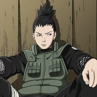 Shikamaru (Alfa dominante)