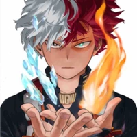 Shoto Todoroki