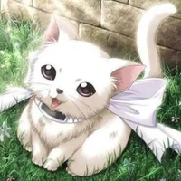 kucing(mocha)