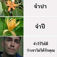 แอด