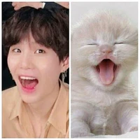 istri sah nya min yoongi