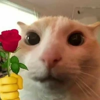 แอดเก😼