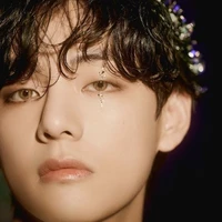 Prince Kim Taehyung (Omega)