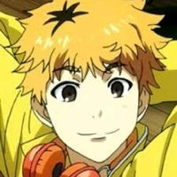 Hide