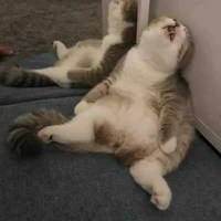 ยากไร้ท์