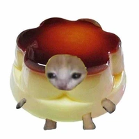 พุดดิ้ง