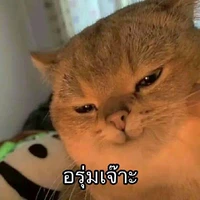 ไรซ์