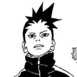 Shikadai