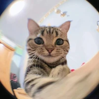 แอด