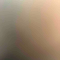 Bt