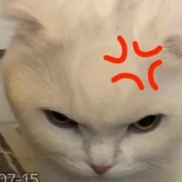 แอดเอง