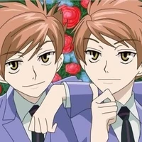 สองแฝดฮิตาอิจิน