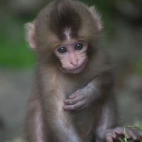 ฮันเตอร์😜