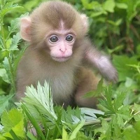 มิวสิค😜