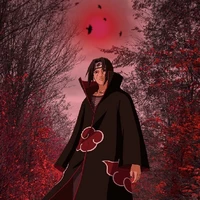 🕸️itachi🕸️