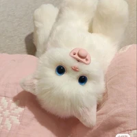 แอดเองนะ😺🌸
