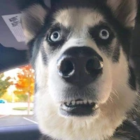 เบ