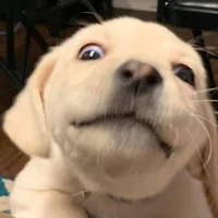 เจ