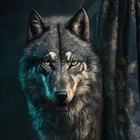 มนุษย์หมาป่า(อแมนด้า)