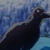 gagak kasugai