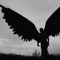 Ángel caído (de la noche)