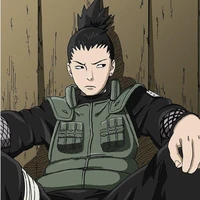 💤 Shikamaru 💤