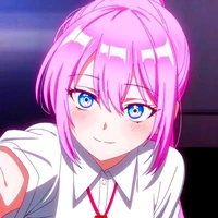 y/n