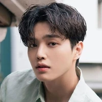 Jeon Van Ervan