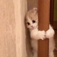 ストーリーライター