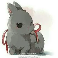 Newt le lapin